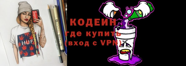 индика Рославль