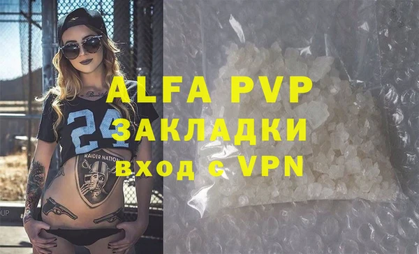 индика Рославль
